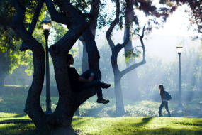 People in the park