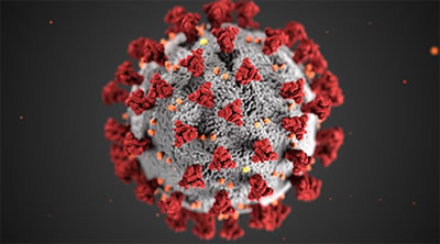 COVID-19 virus