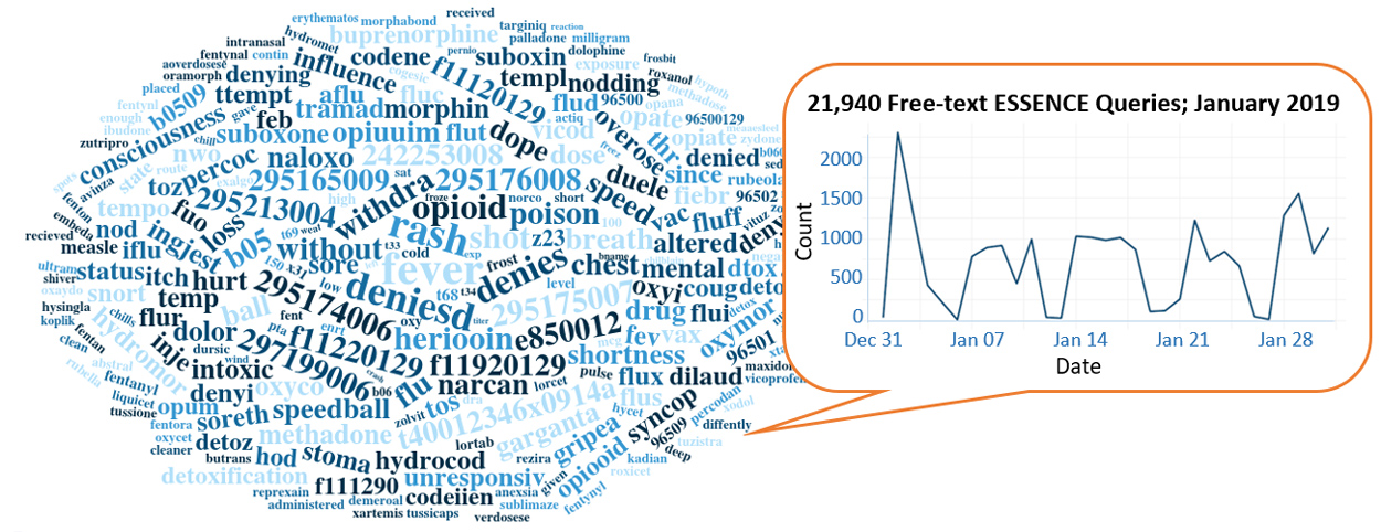 ESSENCE Query Terms from January 2019