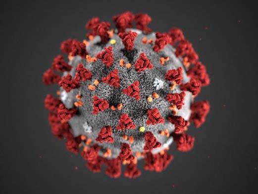 Novel Coronavirus