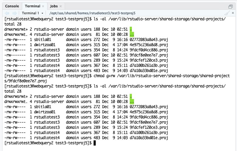 RStudio Terminal