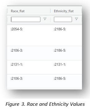 race and ethnicity values image