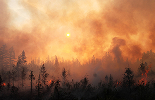 Oregon wildfire burning