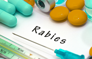 Rabies text with syringe and medications