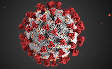 coronavirus rendering