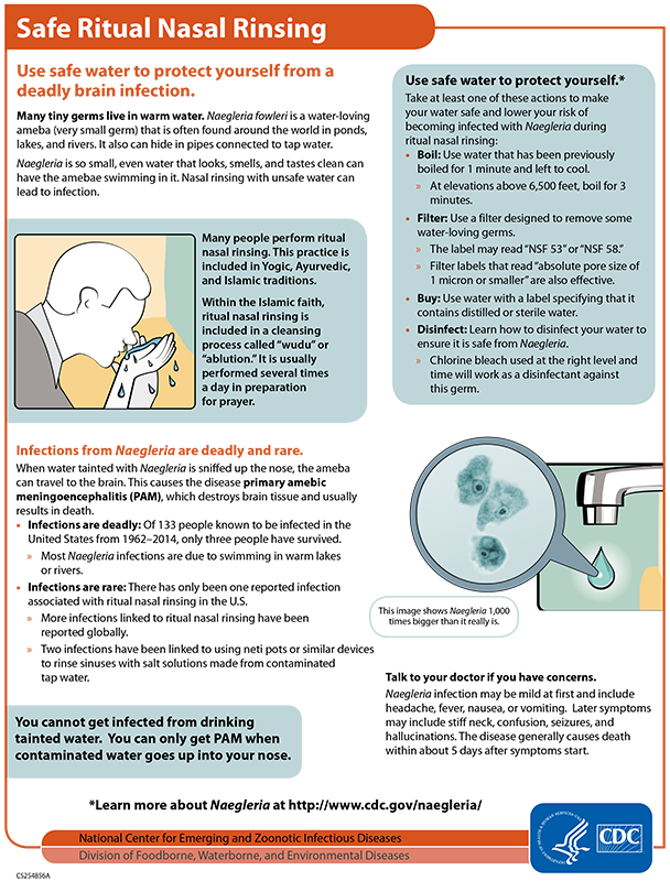 Thumbnail for the naegleria ritual ablution factsheet