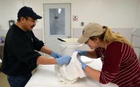 Cyrus and Brittany working with Seal Oil