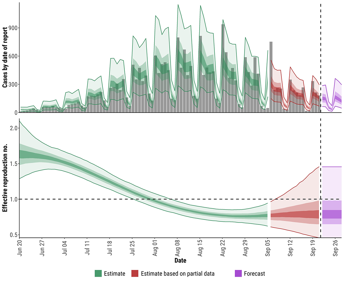 Top panel shows estimates of cases by date of onset, adjusted for reporting delays.