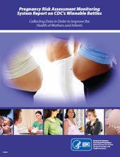 Snapshot Report cover, images of pregnant women.