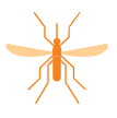 vector image of a mosquito