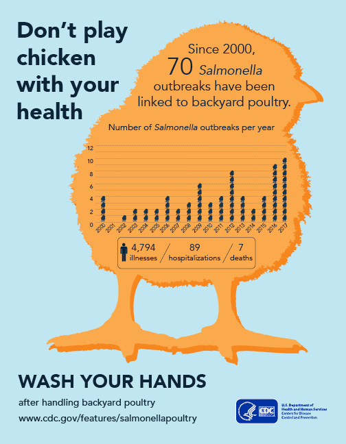 Illustration showing a chicken with text reading Don't play chicken with your health. Wash your hands after handling backyard poultry.