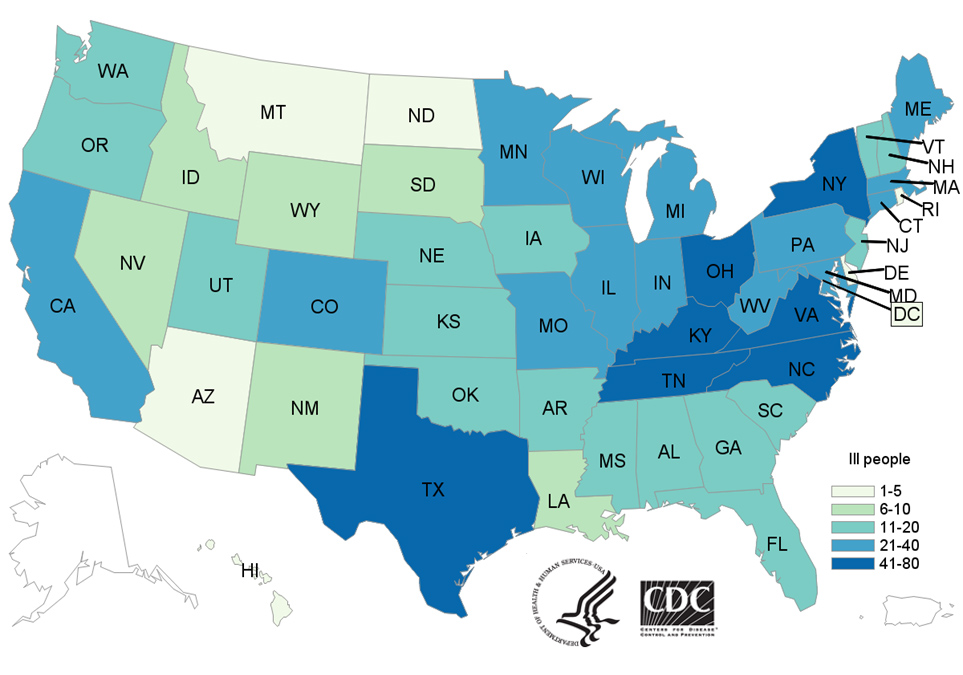 People infected with the outbreak strains of Salmonella, by state of residence, as of October 16, 2019