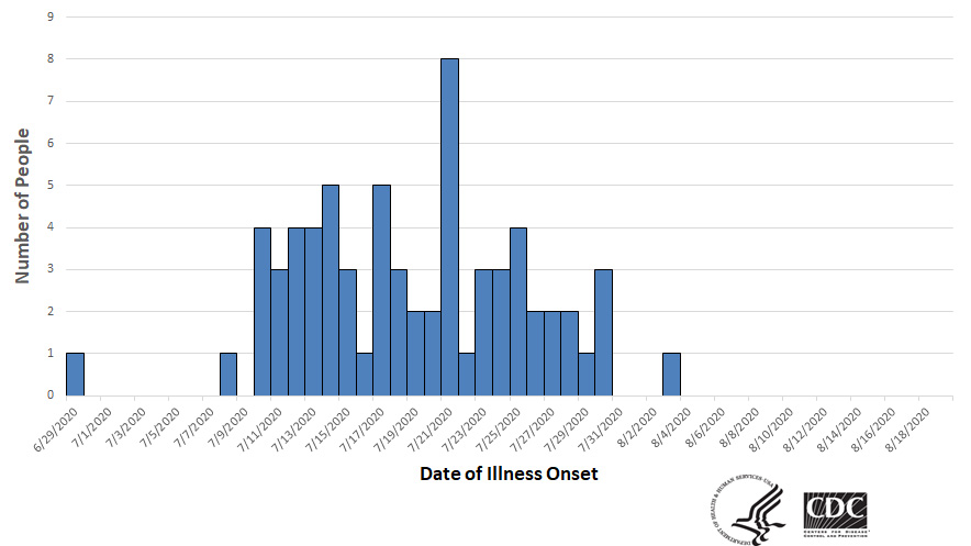 Epi curve of people infected with the outbreak strain of Salmonella, by date of illness onset, as of August 19 20, 2020