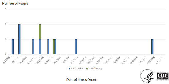 People infected with the outbreak strains of Salmonella Montevideo and Salmonella Senftenberg, by date of illness onset