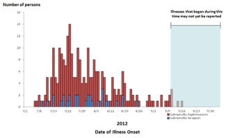 Final Epi Curve: Persons infected with the outbreak strains of Salmonella Typhimurium and Salmonella Newport, by date of illness onset