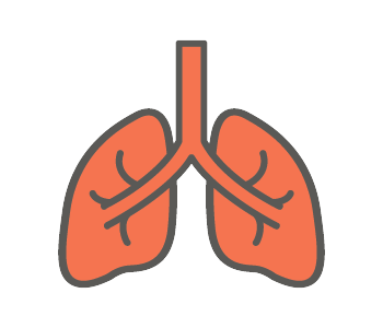 Risk Factors Lungs