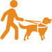 Icon of a visually impaired person with a service dog