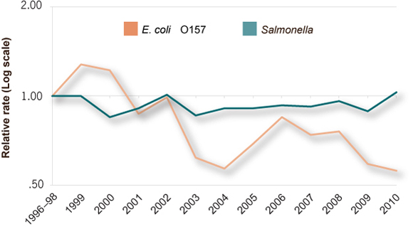  This line graph shows the change in the relative rates of E. coli O157 (STEC O157) and Salmonella infections from 1996 to 2010. The relative rates of infection by year.