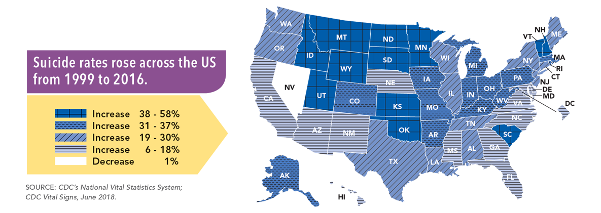 Graphic: Suicide rates rose across the US from 1999 to 2016