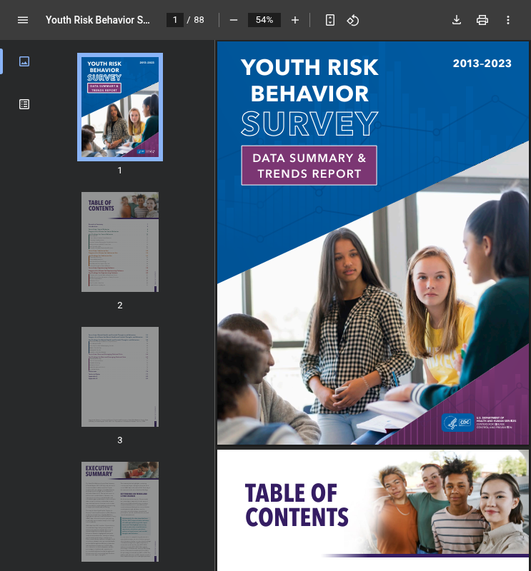 Embedded PDF: YRBS 2023 Data Summary Trend Report